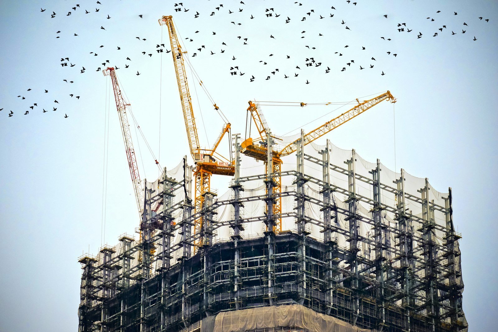 Grúas sobre un edificio en construcción vistas desde abajo