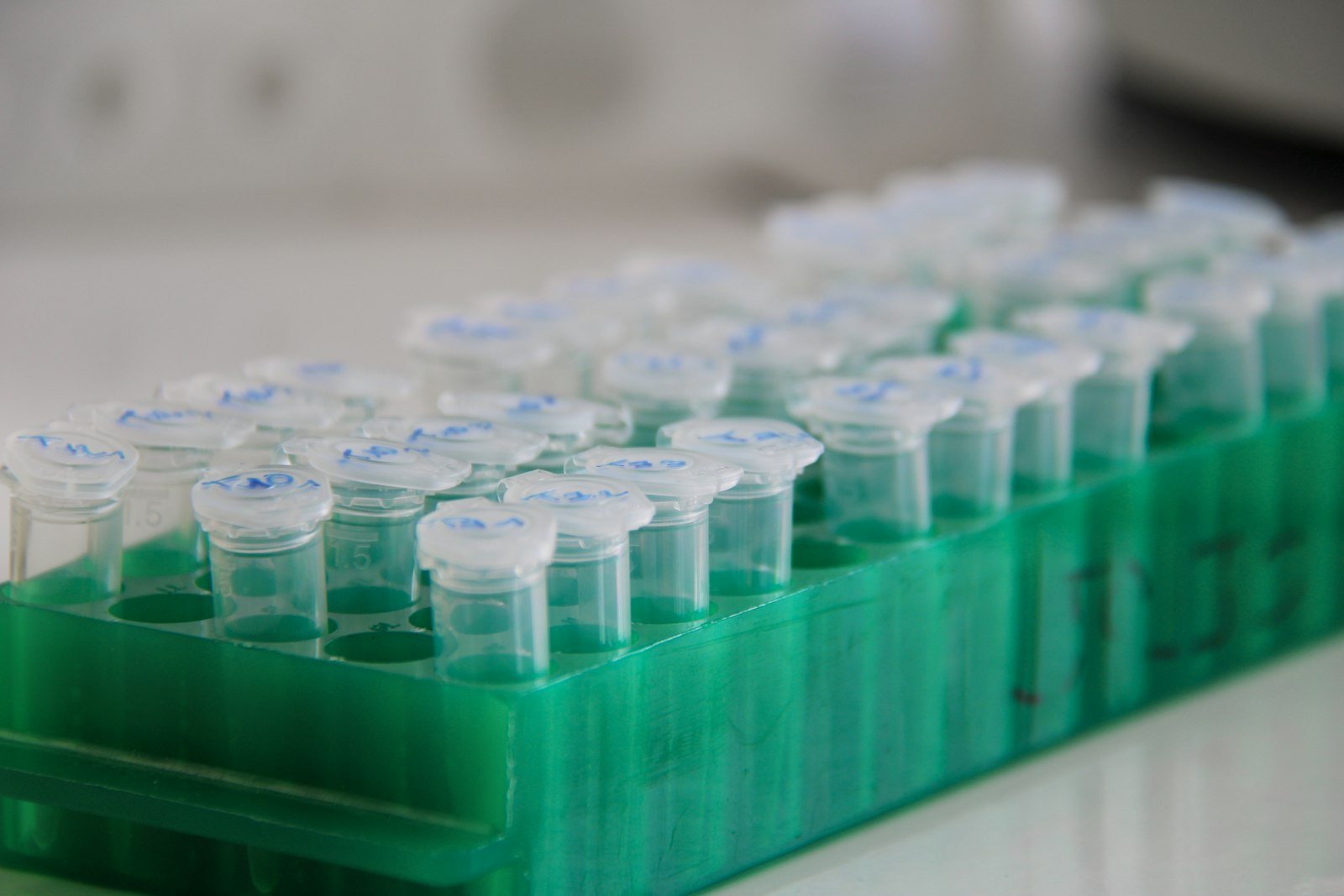 Tubos de ensayo en una gradilla de laboratorio, usados para análisis toxicológicos
